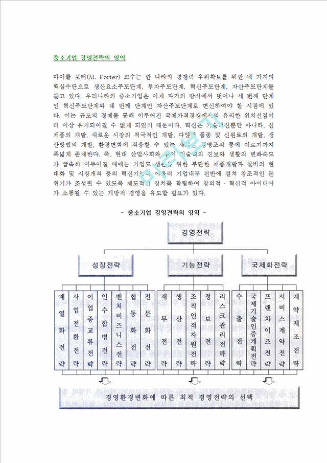 [중소기업경영전략의영역]중소기업의성장전략,기능별전략,국제화전략.hwp